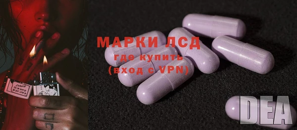 стаф Снежинск